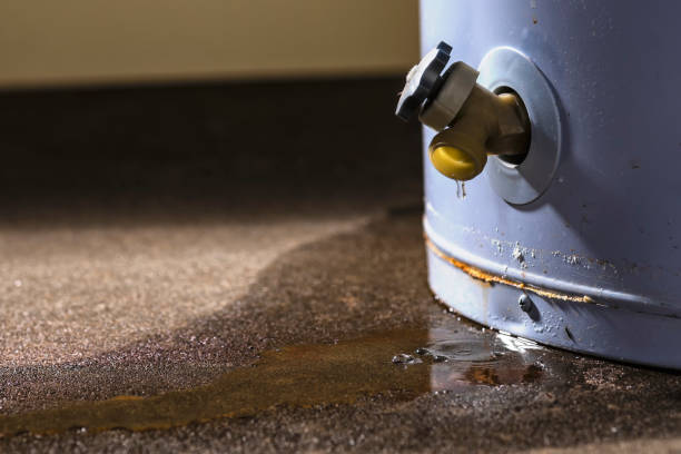 Best Water damage repair service  in Perkasie, PA
