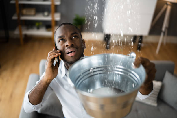 Best Commercial water damage restoration  in Perkasie, PA