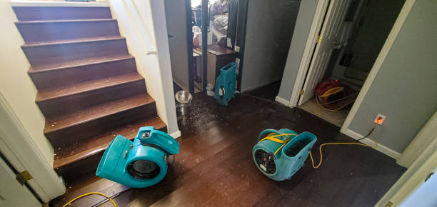 Best Flood restoration services  in Perkasie, PA