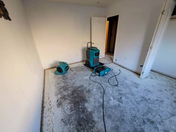 Best Local water damage restoration  in Perkasie, PA