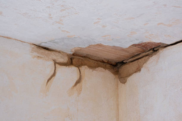 Best Flood damage cleanup  in Perkasie, PA