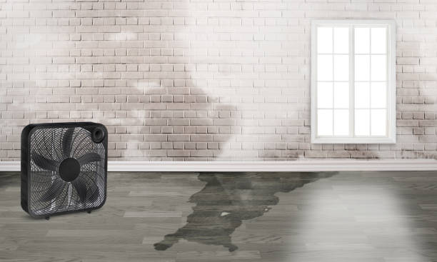 Sewage cleanup and water damage restoration in Perkasie, PA
