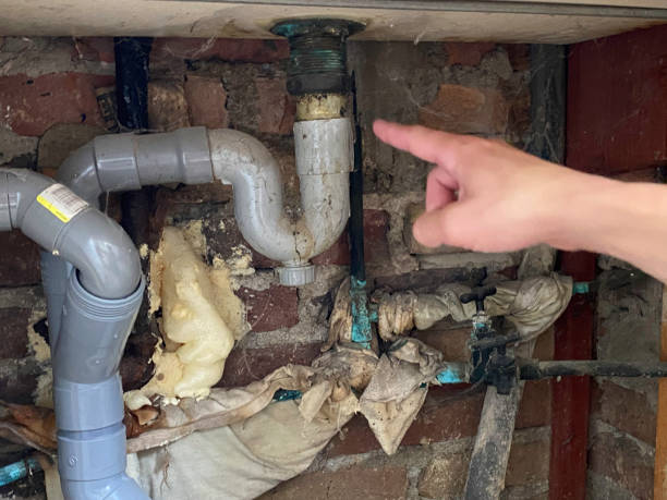 Best Water damage restoration company  in Perkasie, PA